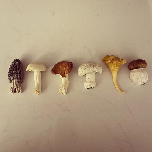 Set of 6 Mini Mushrooms
